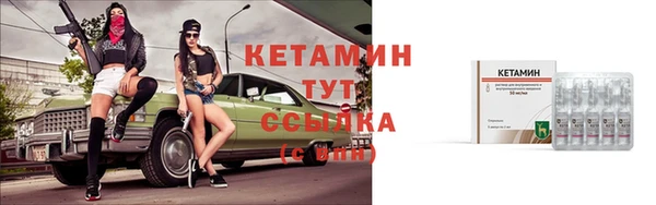 индика Белокуриха