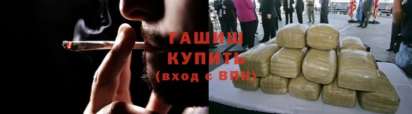 индика Белокуриха