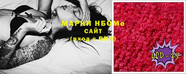 индика Белокуриха