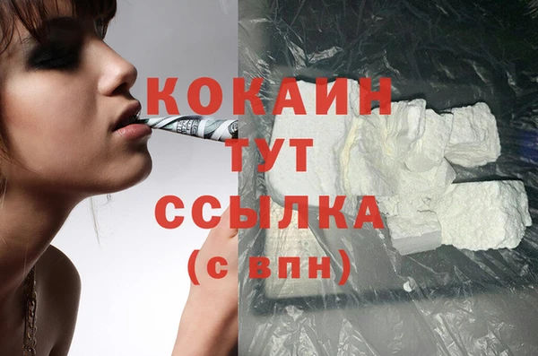 индика Белокуриха