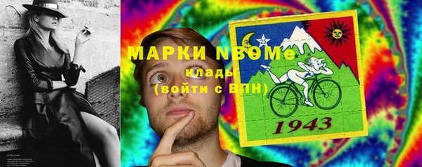 индика Белокуриха