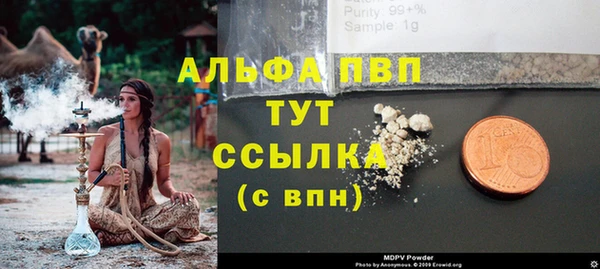 индика Белокуриха