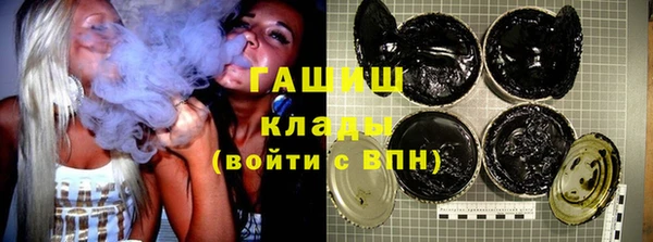 индика Белокуриха
