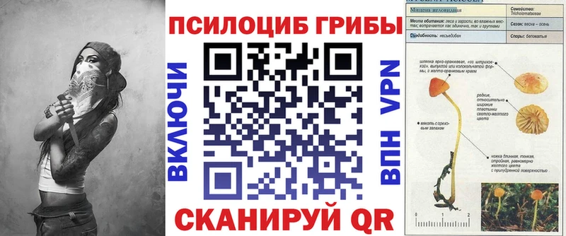 Псилоцибиновые грибы мухоморы Когалым
